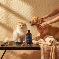 Collection image for: Pets Supplies