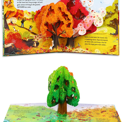 Kids Pop Up 3D Flap Picture English Books Fairy Tales Bedtime Reading Book Enlighten Learning Toys Children Gift Montessori